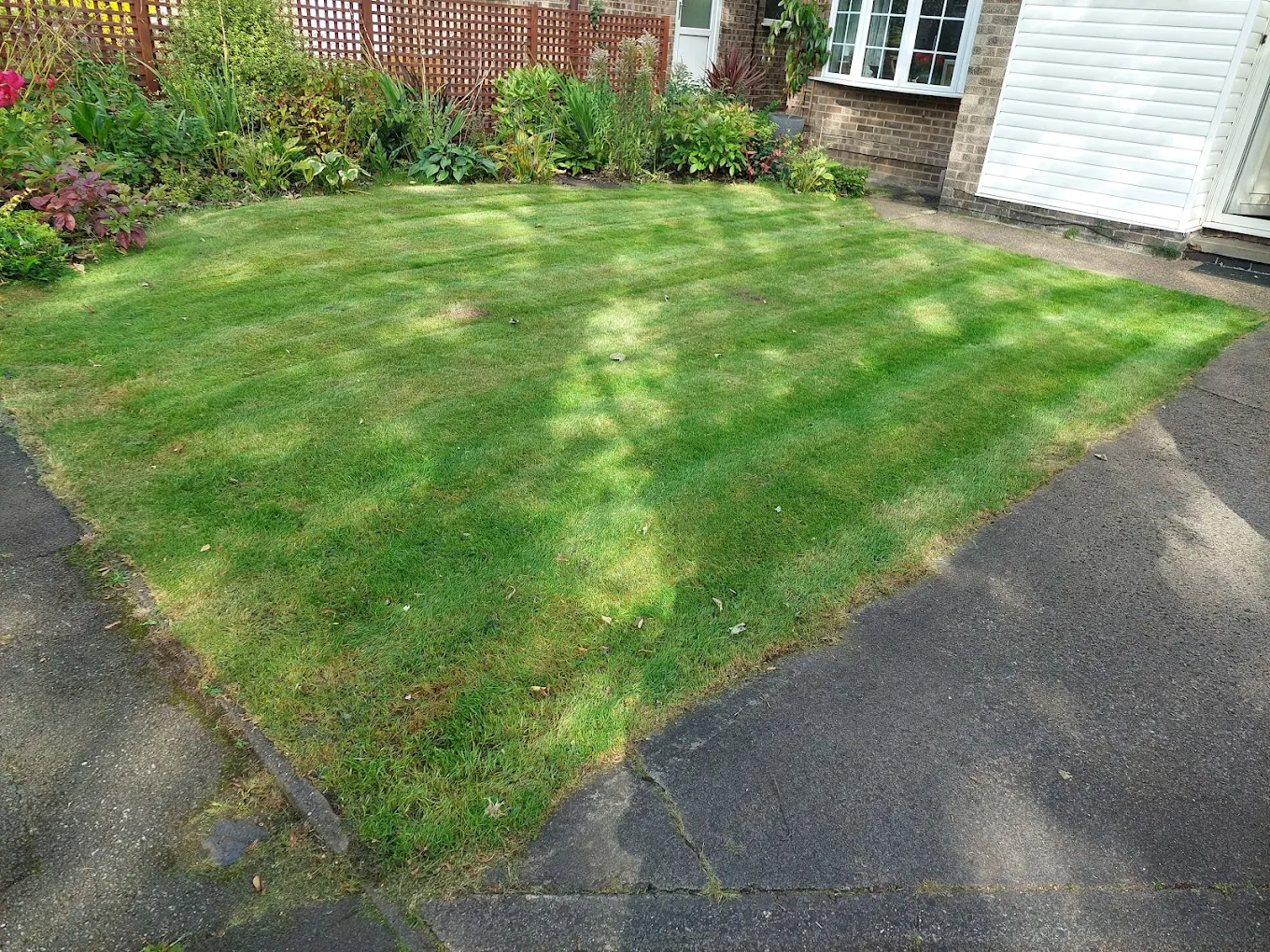 Professional lawn maintenance - neat cut grass