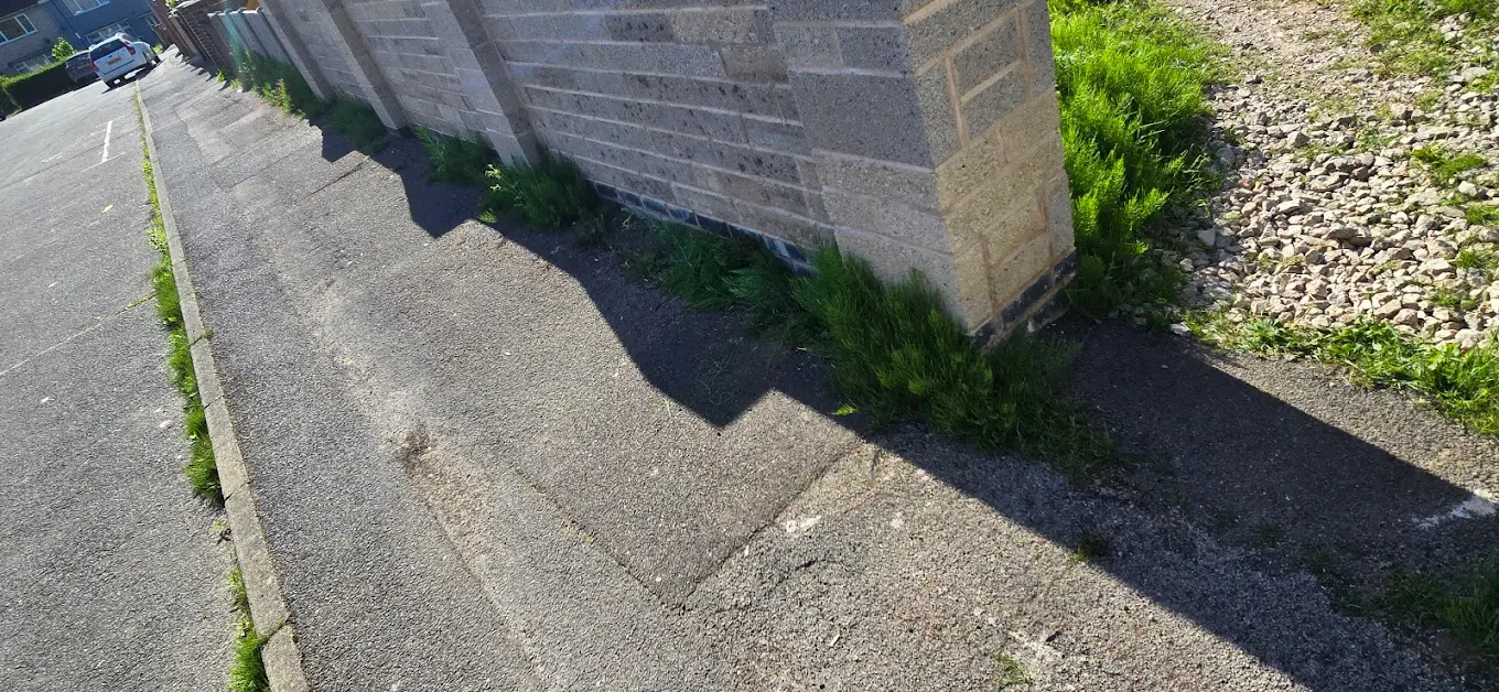 Before pressure washing - overgrown driveway edges