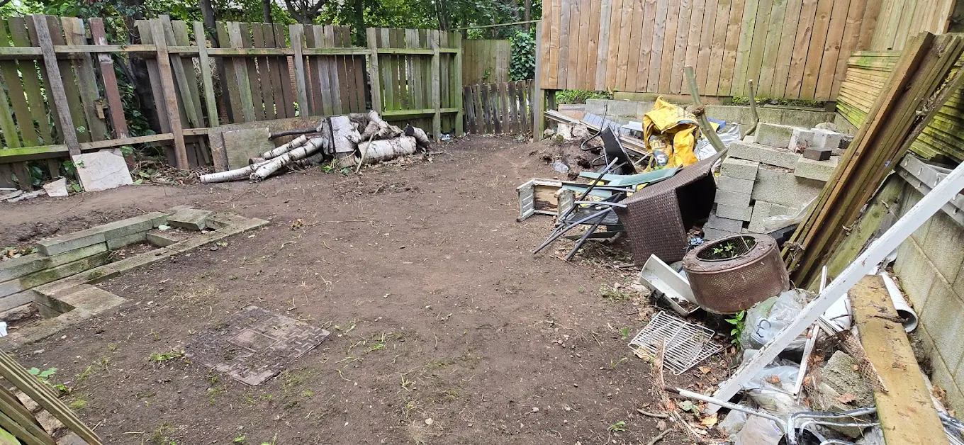 Backyard clearance before and after