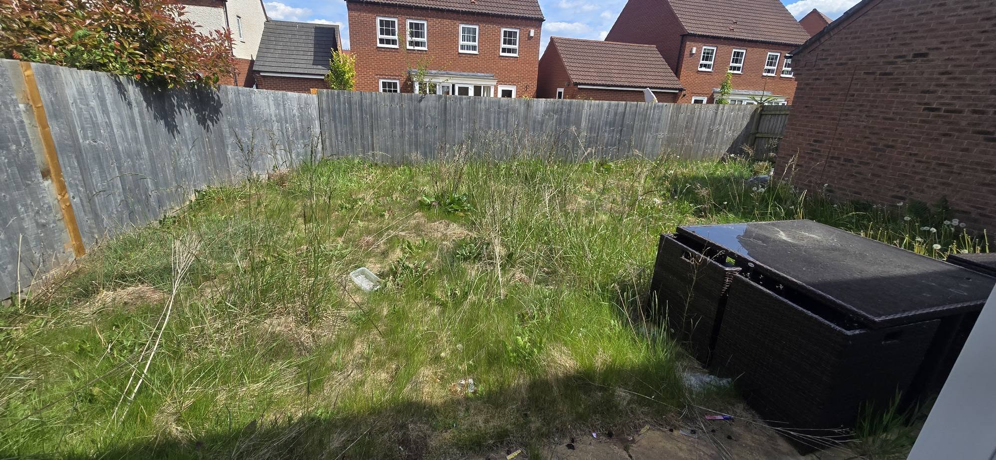Before backyard renovation - overgrown weedy garden area